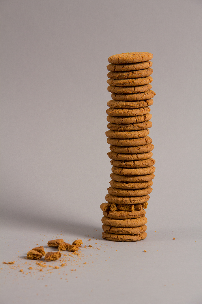 Self-portrait as a stack of cookies (Scoliosis & L1), 2011