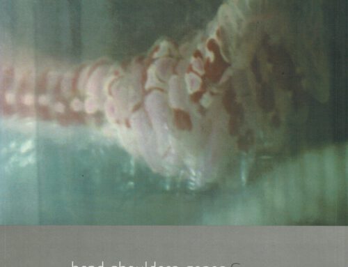 Heads, Shoulders, Genes & Toes, exhibition catalog, 2013