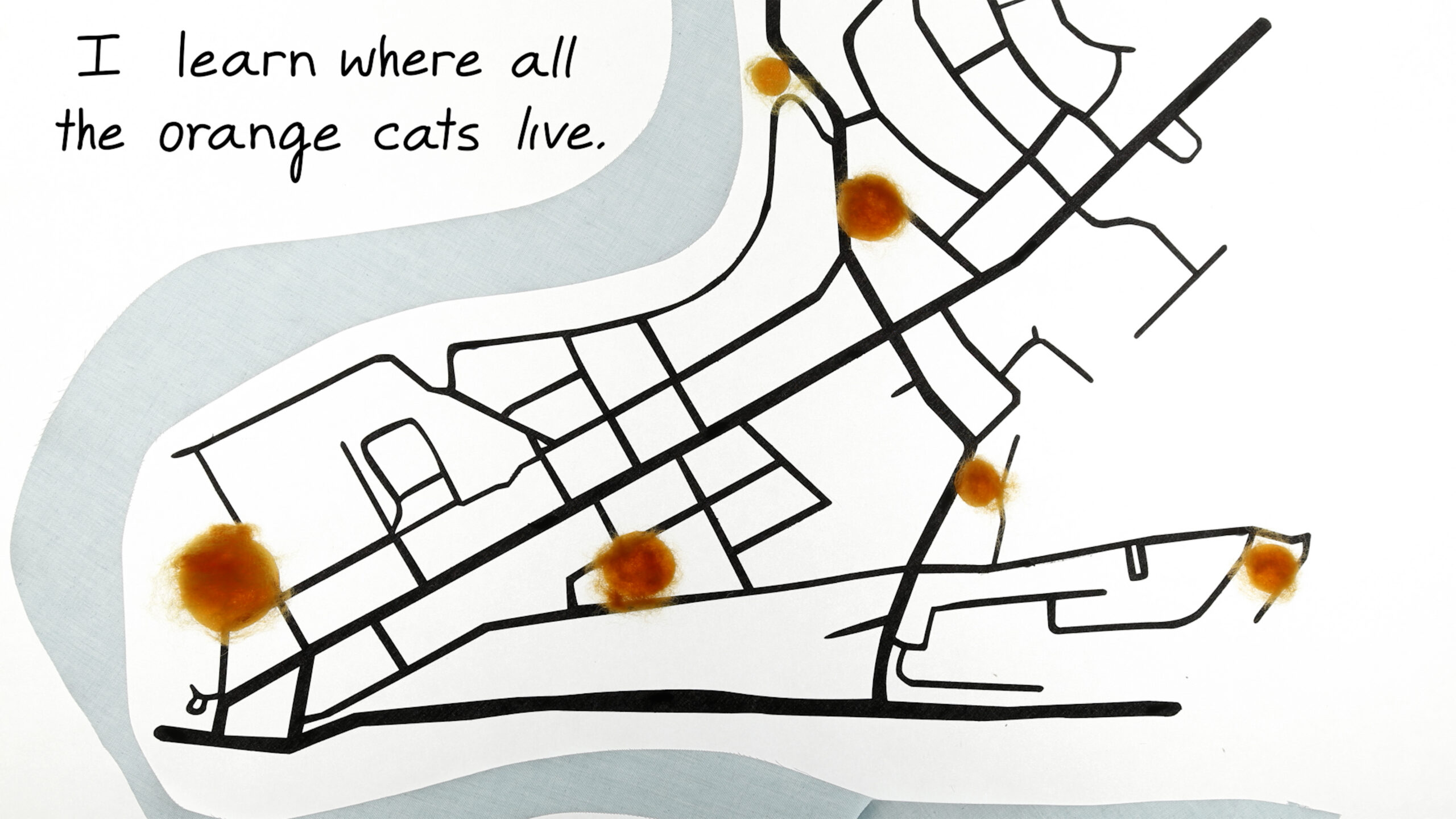 35Days-Kumao-learn-orange-cats-live-300dpi